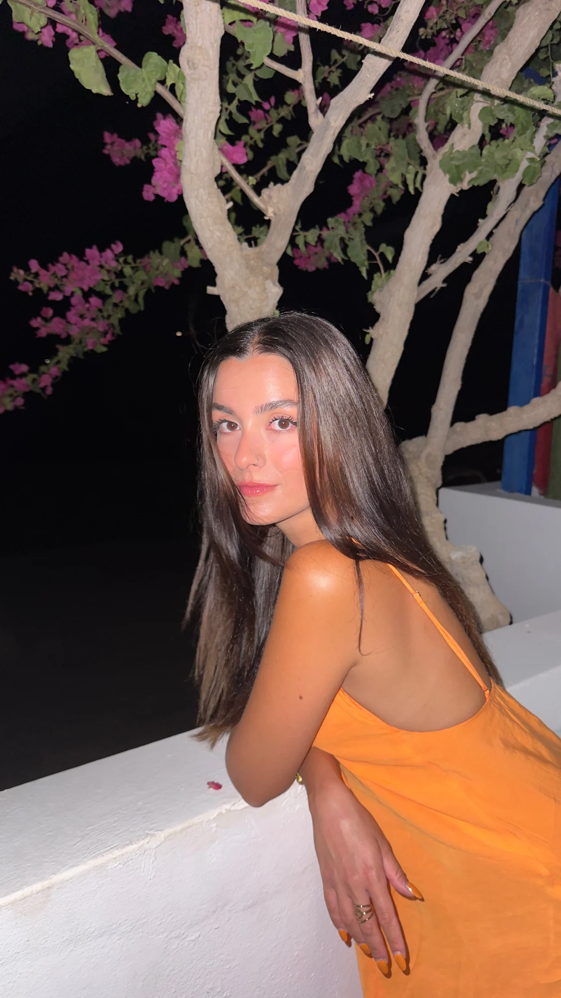 ΣΟΦΙΑ ΜΑΚΡΗ, επαγγελματικό μοντέλο