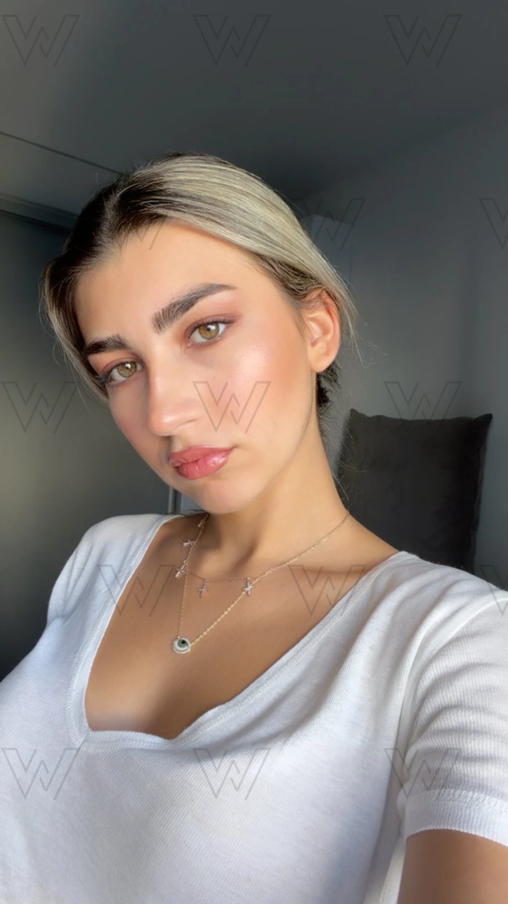 WM-00033, professional model