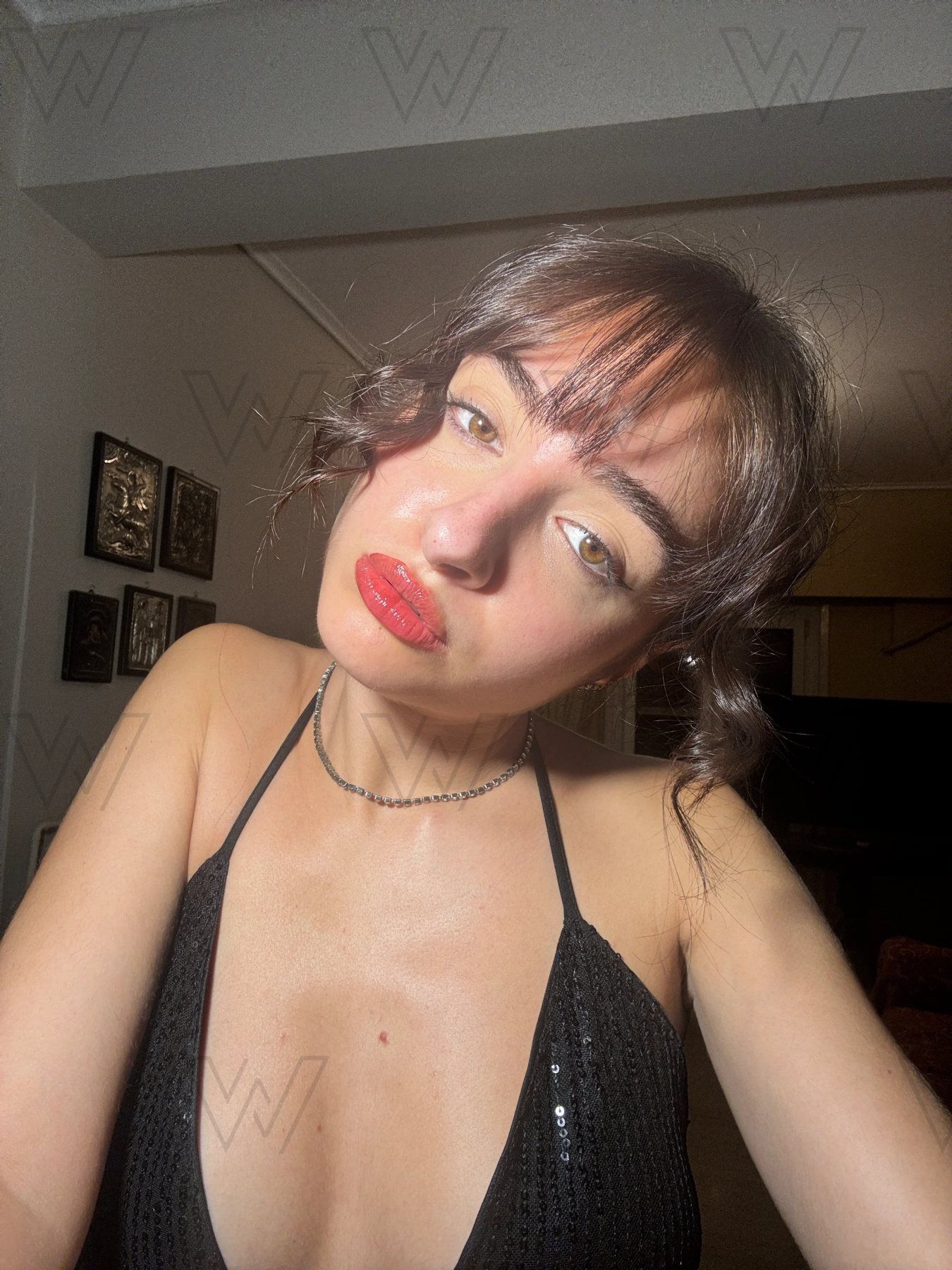 WM-00055, professional model