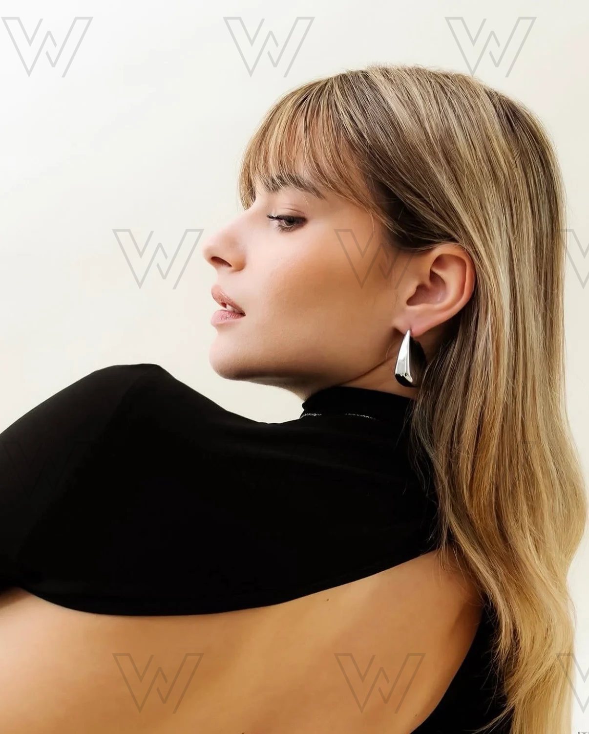 WM-00139, επαγγελματικό μοντέλο