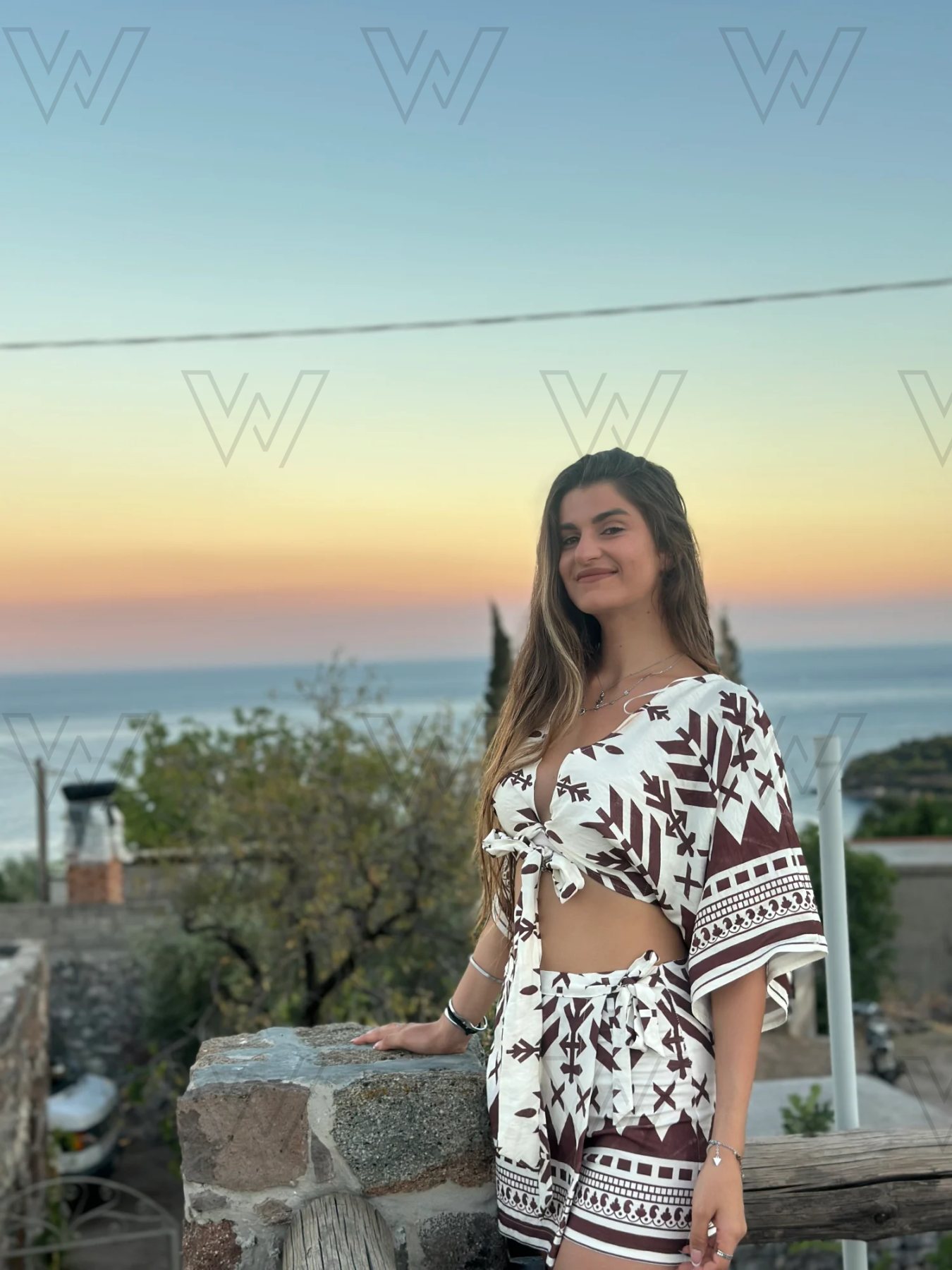 WM-00021, επαγγελματικό μοντέλο