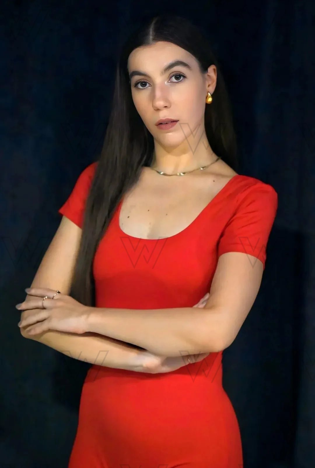 WM-00119, professional model